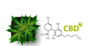 Molécule de CBD