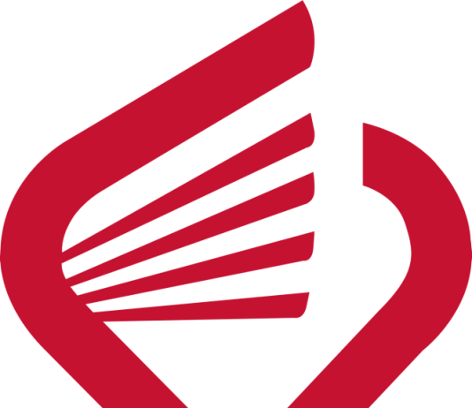 Belgique : le CSS recommande la vape