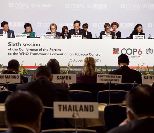 Panama en rage: COP10 de l’OMS risque d’être annulée Vue de la COP6